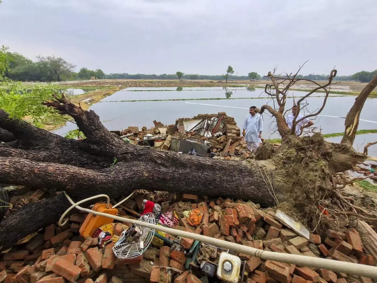 उत्तर भारत में बारिश से संबंधित घटनाओं में सात मृत; सड़कों पर बाढ़ आ गई, पेड़ों को दिल्ली-एनसीआर मे