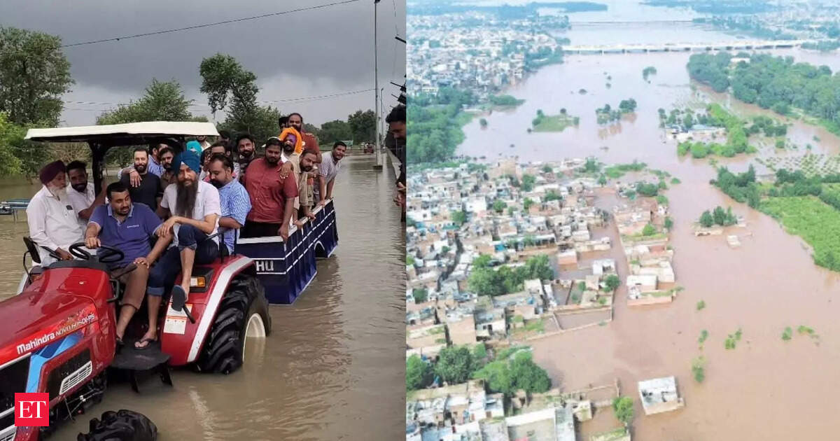 बाढ़-भंग पंजाब को अगस्त में 74% अधिक बारिश मिलती है, जो 25 वर्षों में सबसे अधिक है